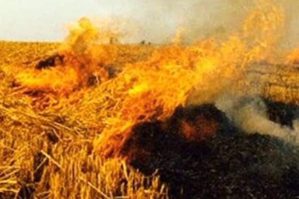 पराली जलाने से होने वाले नुकसान एवं इसे रोकने हेतु सरकार द्वारा उठाए गए कदम, इसका अधिक से अधिक लाभ उठाएं